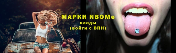 индика Семёнов