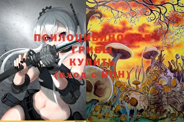 spice Семилуки