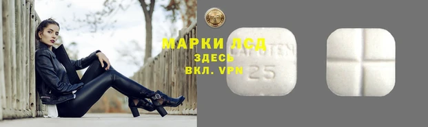 spice Семилуки