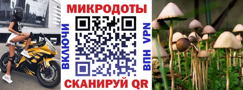 ссылка на мегу зеркало  Урень  Псилоцибиновые грибы Psilocybine cubensis 